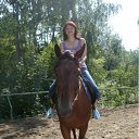  ~_o~, , 62  -  28  2011   0 -   ...