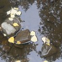 ���� ������, �����������, 45 ��� - ��������� 22 ��� 2012 � ������ ���� ����������