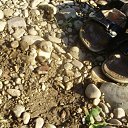 ���� �������, ��������, 50 ��� - ��������� 21 ���� 2012 � ������ ������ �� ����