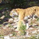 ���� ������, �����-���������, 60 ��� - ��������� 27 ������� 2009 � ������ �������� 2009�