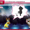  ,   -  17  2010   PetLove