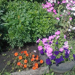 ���� ������, ��� - ��������� 3 ������� 2013