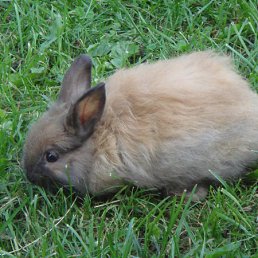 ���� ��������, ������, 54 ���� - ��������� 9 ��� 2011