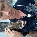 ���� ������, ������������, 41 ��� - ��������� 5 ������� 2012 � ������ ���� ����������