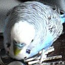���� ��� �������, ������, 44 ���� - ��������� 7 �������� 2012 � ������ �������
