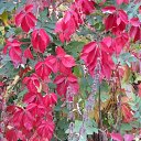 ���� ����, ������, 39 ��� - ��������� 9 ������� 2009 � ������ ����.....������...!!!!!!!!!!)))))))�