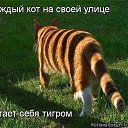 ���� ��������, ������ - ��������� 31 ��� 2013 � ������ ������ ��������