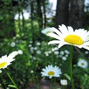 ���� ������, ������ - ��������� 25 ��� 2012 � ������ ���� ����������