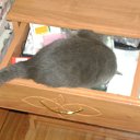 ���� �����, �������, 56 ��� - ��������� 29 ������� 2012 � ������ ���� �����