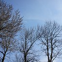 ���� ����, ��������, 40 ��� - ��������� 13 ��� 2013 � ������ ������������� ������