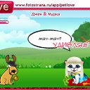 ���� �������, �������-��������� - ��������� 27 �������� 2010 � ������ �PetLove�