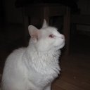 ���� ~����~, ������������, 24 ���� - ��������� 5 ������� 2011 � ������ ���� ������� ������