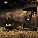 ���� ����, ������-������, 60 ��� - ��������� 2 �������� 2012 � ������ ����������