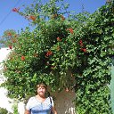 ���� �������, ��������, 70 ��� - ��������� 25 ���� 2013