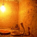 ���� Denis, �����, 45 ��� - ��������� 17 ���� 2013 � ������ ���� ����������