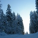  Serzh Van Der Maaremaan,  -  1  2009    