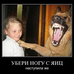 ���� ���, ������������, 31 ��� - ��������� 17 ������� 2010