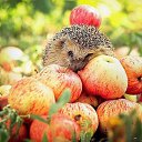  Back To Real Life, , 57  -  1  2012    