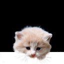  ϸ, , 38  -  27  2012    