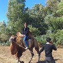 ���� ����, ���������, 35 ��� - ��������� 29 �������� 2012 � ������ ���� ����������