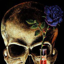 ���� ����, ������, 55 ��� - ��������� 27 ���� 2012