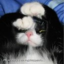 ���� �����, ������ - ��������� 26 ������ 2012 � ������ �����������