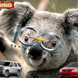 ���� Set_top, �����������, 43 ���� - ��������� 24 �������� 2012