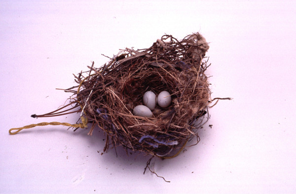 Съедобные птичьи гнёзда. Знак с гнездом и яйцами. Гнезда в сканворде. Сделать гнездо со словом трава.