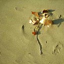 ����� �� �����.. �� ������� ���� ����������