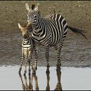 ���� �������, �������, 44 ���� - ��������� 19 ����� 2010 � ������ ������...�