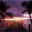 ���� �����, ������, 26 ��� - ��������� 25 ���� 2010 � ������ �������