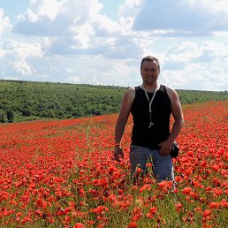 ���� ��������� �������, �������, 45 ��� - ��������� 16 ���� 2013