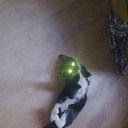 ���� ��������, �����-���������, 63 ���� - ��������� 15 ����� 2013 � ������ ������ ��������