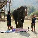 ���� ��������, ����������-���������, 61 ��� - ��������� 28 ������ 2012