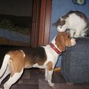 ���� �������, ������������, 53 ���� - ��������� 11 ����� 2012 � ������ ���� ����������