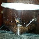 ��������*_* �� ������� �������