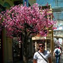 ���� ����, ������, 38 ��� - ��������� 16 �������� 2011