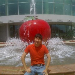 �����, ������, 41 ���