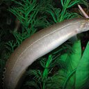 ���� ����, ������ - ��������� 22 ������� 2012 � ������ ���� ��������� �� ���������� �����!!!�