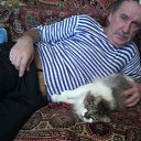 ���� ���������, ���������, 66 ��� - ��������� 8 ���� 2013 � ������ ���� ����������