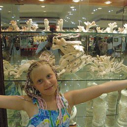 ���� ������, ���������, 25 ��� - ��������� 26 ������� 2013