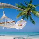  Asar, , 41  -  28  2013    