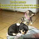 ���� Ninel, ���������, 61 ��� - ��������� 16 ������� 2012 � ������ �����Ȼ