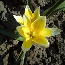  , -, 40  -  14  2011   