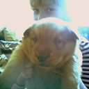 ���� ����, �����������, 37 ��� - ��������� 12 ��� 2013 � ������ ���� ����������