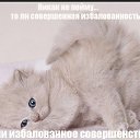 ���� ��������, ����-��� - ��������� 8 ��� 2011 � ������ �:))�