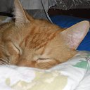 ���� ������, �����-���������, 54 ���� - ��������� 2 ���� 2013 � ������ ����� ��� ������������