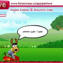  , , 23  -  22  2011   PetLove