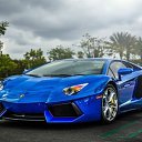 ���� ������, ��������, 31 ��� - ��������� 17 ���� 2013