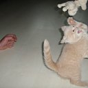 ���� ����, �����, 50 ��� - ��������� 7 �������� 2011 � ������ �������